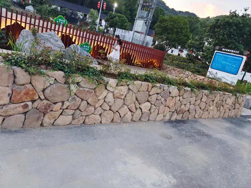 景墙案例3_副本.jpg